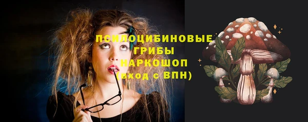эйфоретик Алексин