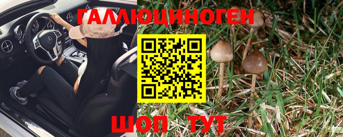 Псилоцибиновые грибы мухоморы Бахчисарай