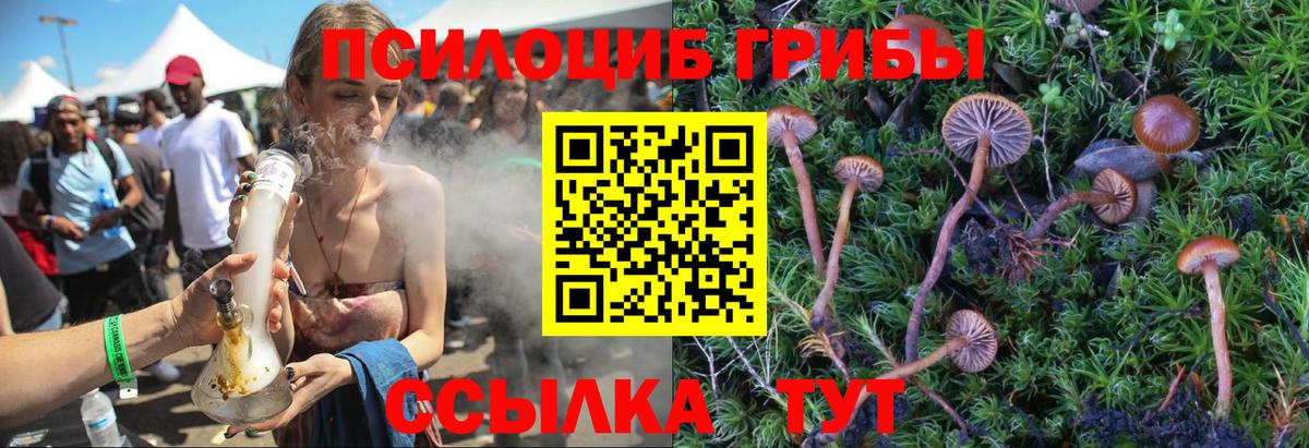 Бахчисарай  хочу   Вход с VPN  Галлюциногенные грибы MAGIC MUSHROOMS 